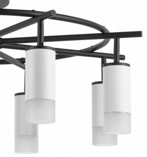 Люстра на штанге Lightstar Rullo LR7183681 в Камышлове - kamyshlov.mebel24.online | фото 4