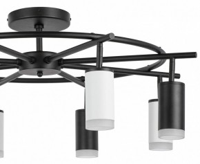 Люстра на штанге Lightstar Rullo LR7183743640 в Камышлове - kamyshlov.mebel24.online | фото 4