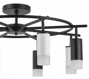 Люстра на штанге Lightstar Rullo LR7183743641 в Камышлове - kamyshlov.mebel24.online | фото 4