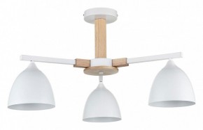 Люстра на штанге Lumion Colange 8095/3C в Камышлове - kamyshlov.mebel24.online | фото