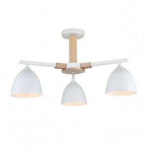 Люстра на штанге Lumion Colange 8095/3C в Камышлове - kamyshlov.mebel24.online | фото 2