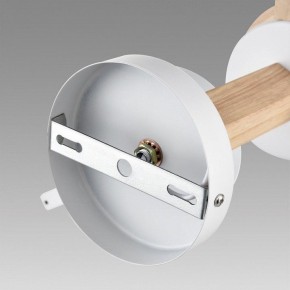 Люстра на штанге Lumion Colange 8095/3C в Камышлове - kamyshlov.mebel24.online | фото 6