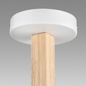 Люстра на штанге Lumion Colange 8095/3C в Камышлове - kamyshlov.mebel24.online | фото 9