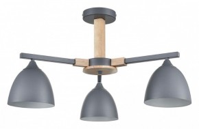 Люстра на штанге Lumion Colange 8096/3C в Камышлове - kamyshlov.mebel24.online | фото