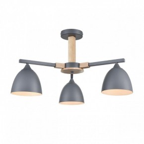 Люстра на штанге Lumion Colange 8096/3C в Камышлове - kamyshlov.mebel24.online | фото 2