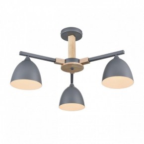 Люстра на штанге Lumion Colange 8096/3C в Камышлове - kamyshlov.mebel24.online | фото 3