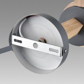 Люстра на штанге Lumion Colange 8096/3C в Камышлове - kamyshlov.mebel24.online | фото 6