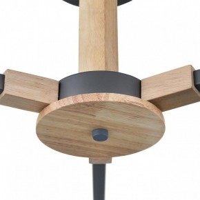 Люстра на штанге Lumion Colange 8096/3C в Камышлове - kamyshlov.mebel24.online | фото 7