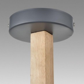 Люстра на штанге Lumion Colange 8096/3C в Камышлове - kamyshlov.mebel24.online | фото 9