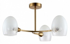 Люстра на штанге Lumion Kendall 6514/3C в Камышлове - kamyshlov.mebel24.online | фото