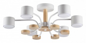 Люстра на штанге Lumion Rondo 8231/6C в Камышлове - kamyshlov.mebel24.online | фото