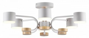 Люстра на штанге Lumion Rondo 8231/6C в Камышлове - kamyshlov.mebel24.online | фото 2