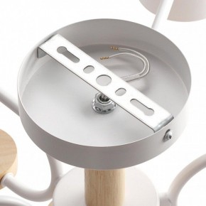 Люстра на штанге Lumion Rondo 8231/6C в Камышлове - kamyshlov.mebel24.online | фото 6