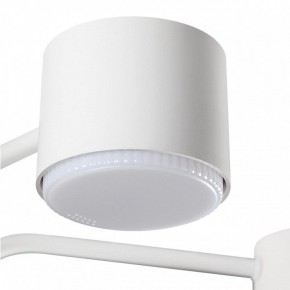 Люстра на штанге Lumion Rondo 8231/6C в Камышлове - kamyshlov.mebel24.online | фото 7