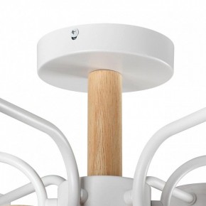 Люстра на штанге Lumion Rondo 8231/6C в Камышлове - kamyshlov.mebel24.online | фото 8