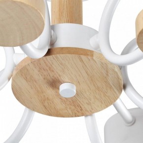 Люстра на штанге Lumion Rondo 8231/6C в Камышлове - kamyshlov.mebel24.online | фото 9