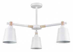 Люстра на штанге Lumion Rosalina 8097/3C в Камышлове - kamyshlov.mebel24.online | фото