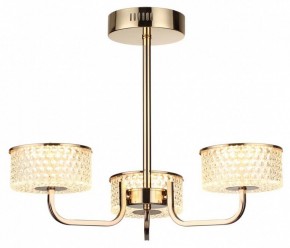 Люстра на штанге Lumion Venice 6579/40CL в Камышлове - kamyshlov.mebel24.online | фото 5