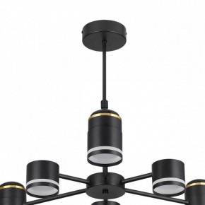 Люстра на штанге Lumion Virsava 8234/6C в Камышлове - kamyshlov.mebel24.online | фото 5