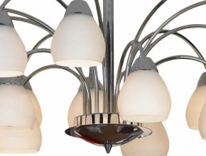 Люстра на штанге Lussole Apiro GRLSF-2403-15 в Камышлове - kamyshlov.mebel24.online | фото 12