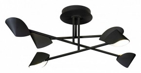 Люстра на штанге Mantra Capuccina 7581 в Камышлове - kamyshlov.mebel24.online | фото 1