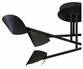 Люстра на штанге Mantra Capuccina 7581 в Камышлове - kamyshlov.mebel24.online | фото 2