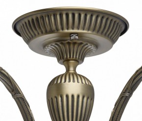 Люстра на штанге MW-Light Аманда 6 481011805 в Камышлове - kamyshlov.mebel24.online | фото 10