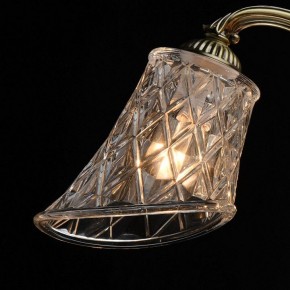 Люстра на штанге MW-Light Ариадна 32 450019105 в Камышлове - kamyshlov.mebel24.online | фото 10