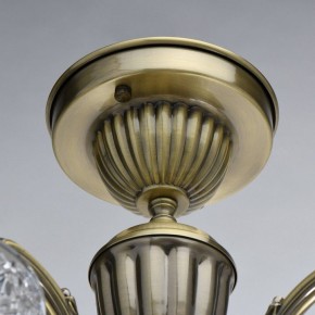 Люстра на штанге MW-Light Ариадна 32 450019105 в Камышлове - kamyshlov.mebel24.online | фото 5