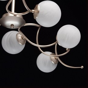 Люстра на штанге MW-Light Оливия 5 306012709 в Камышлове - kamyshlov.mebel24.online | фото 10