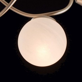 Люстра на штанге MW-Light Оливия 5 306012709 в Камышлове - kamyshlov.mebel24.online | фото 6