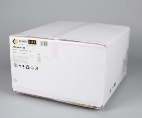 Люстра на штанге Omnilux Alghero OML-64707-09 в Камышлове - kamyshlov.mebel24.online | фото 5