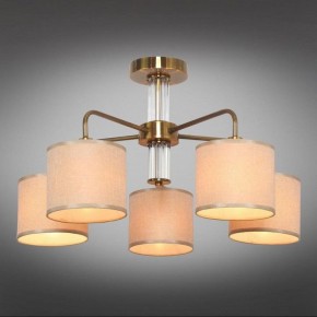 Люстра на штанге Omnilux Barumini OML-56907-05 в Камышлове - kamyshlov.mebel24.online | фото 2