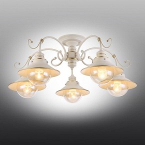 Люстра на штанге Omnilux Torri OML-50807-05 в Камышлове - kamyshlov.mebel24.online | фото 2