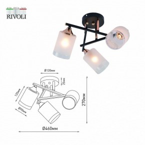 Люстра на штанге Rivoli Fiona Б0059259 в Камышлове - kamyshlov.mebel24.online | фото