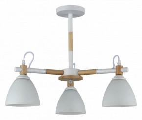 Люстра на штанге Rivoli Louise Б0060982 в Камышлове - kamyshlov.mebel24.online | фото