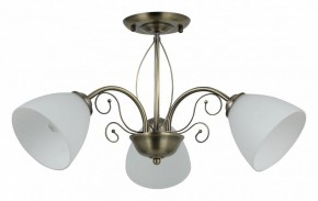 Люстра на штанге Rivoli Sue Б0060985 в Камышлове - kamyshlov.mebel24.online | фото