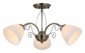Люстра на штанге Rivoli Sue Б0060985 в Камышлове - kamyshlov.mebel24.online | фото 2