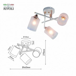 Люстра на штанге Rivoli Tammy Б0059258 в Камышлове - kamyshlov.mebel24.online | фото