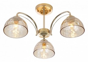 Люстра на штанге Rivoli Terri Б0060988 в Камышлове - kamyshlov.mebel24.online | фото