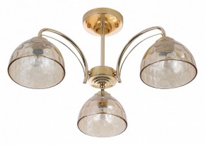 Люстра на штанге Rivoli Terri Б0060988 в Камышлове - kamyshlov.mebel24.online | фото 2