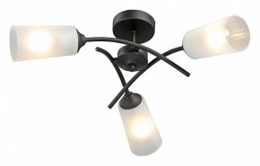 Люстра на штанге Vitaluce V2850 V2850-1/3PL в Камышлове - kamyshlov.mebel24.online | фото 2
