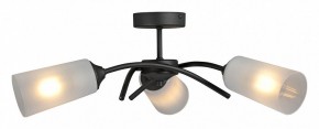 Люстра на штанге Vitaluce V2850 V2850-1/3PL в Камышлове - kamyshlov.mebel24.online | фото 3