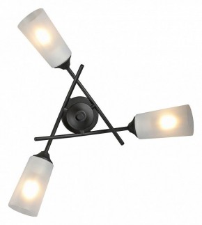 Люстра на штанге Vitaluce V2850 V2850-1/3PL в Камышлове - kamyshlov.mebel24.online | фото 4