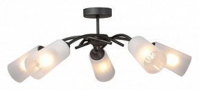 Люстра на штанге Vitaluce V2850 V2850-1/5PL в Камышлове - kamyshlov.mebel24.online | фото