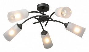 Люстра на штанге Vitaluce V2850 V2850-1/5PL в Камышлове - kamyshlov.mebel24.online | фото 2