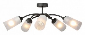 Люстра на штанге Vitaluce V2850 V2850-1/5PL в Камышлове - kamyshlov.mebel24.online | фото 3