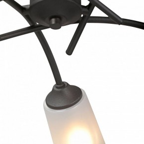 Люстра на штанге Vitaluce V2850 V2850-1/5PL в Камышлове - kamyshlov.mebel24.online | фото 6
