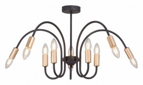 Люстра на штанге Vitaluce V3026 V3026-1/10PL в Камышлове - kamyshlov.mebel24.online | фото 2