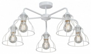 Люстра на штанге Vitaluce V3102 V3102-0/5PL в Камышлове - kamyshlov.mebel24.online | фото